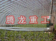 大棚花卉供暖設(shè)備、大棚卉采暖設(shè)備、大棚花卉取暖設(shè)備