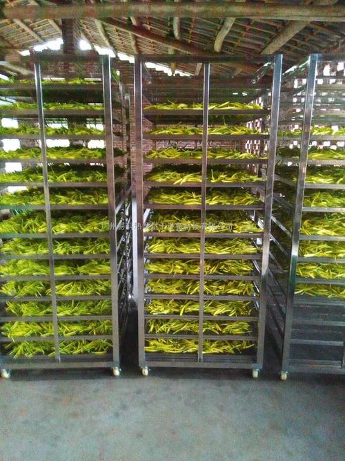 黃花菜烘干機(jī)、黃花菜烘干設(shè)備、黃花菜干燥機(jī)、黃花菜干燥設(shè)備、